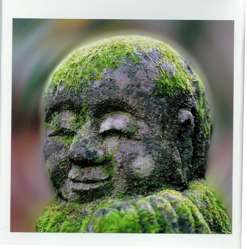 Bouddhisme Mahayana et Theravada Ag250011