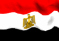 اخبار المنتخب المصرى