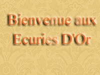 .Les Ecuries D'Or. Welcom10