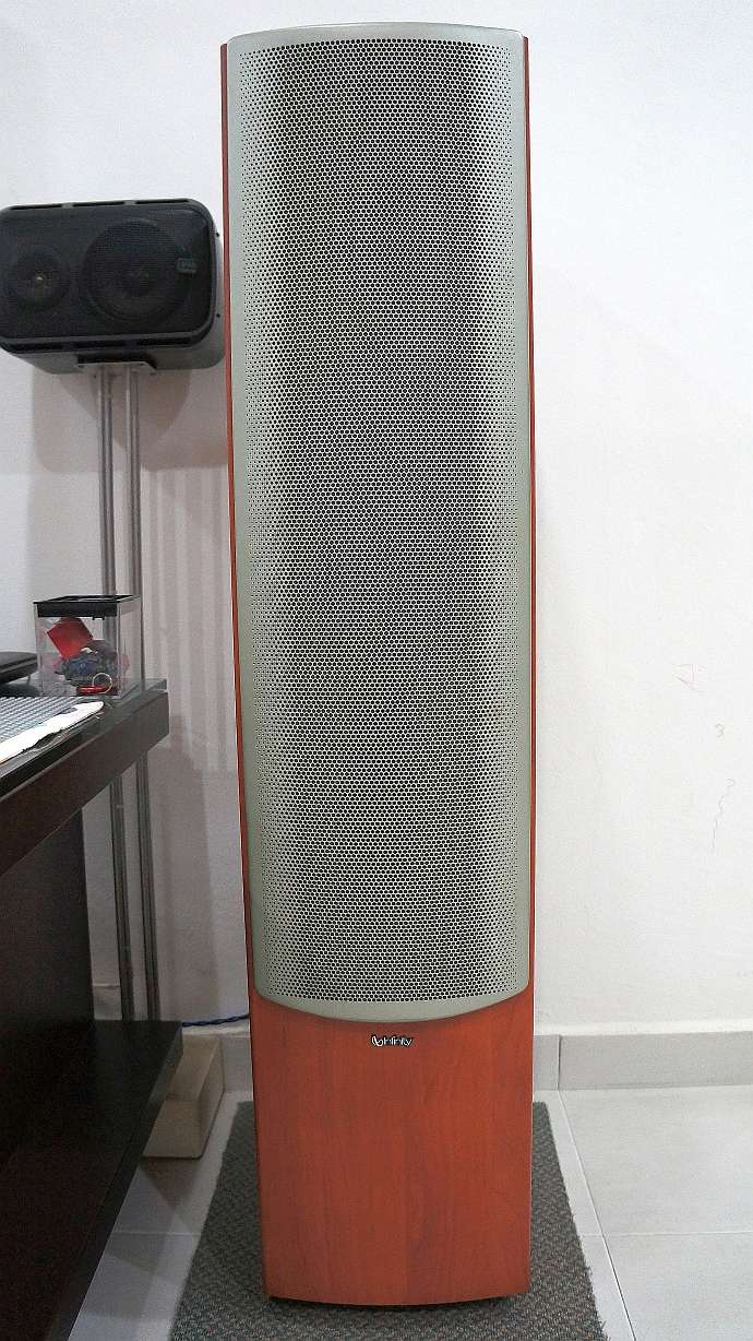 Infinity Beta 50 Floorstanding Speaker (Sold) 310