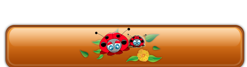 Coccikdo
