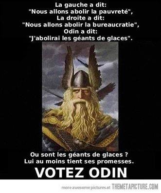 Votez Odin 20818_10