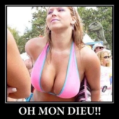 HUMOUR en photo - Page 37 Gggg10