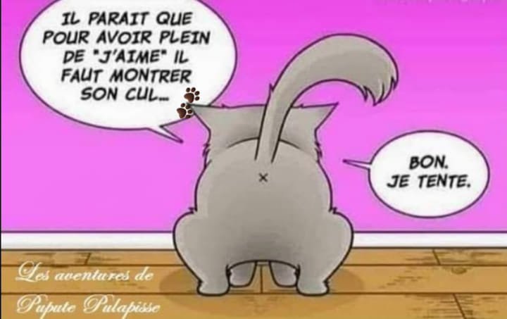 "J'aime" - ou les "like" - sur Facebook Cul_de10