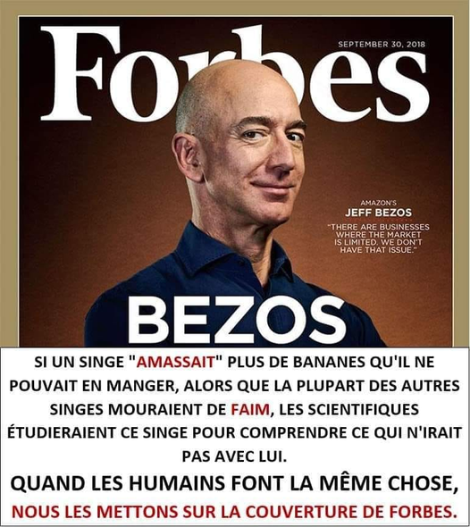 La différence entre un singe et Jeff Bezos  Singe10