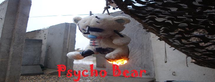 Psychobear Dsc00813