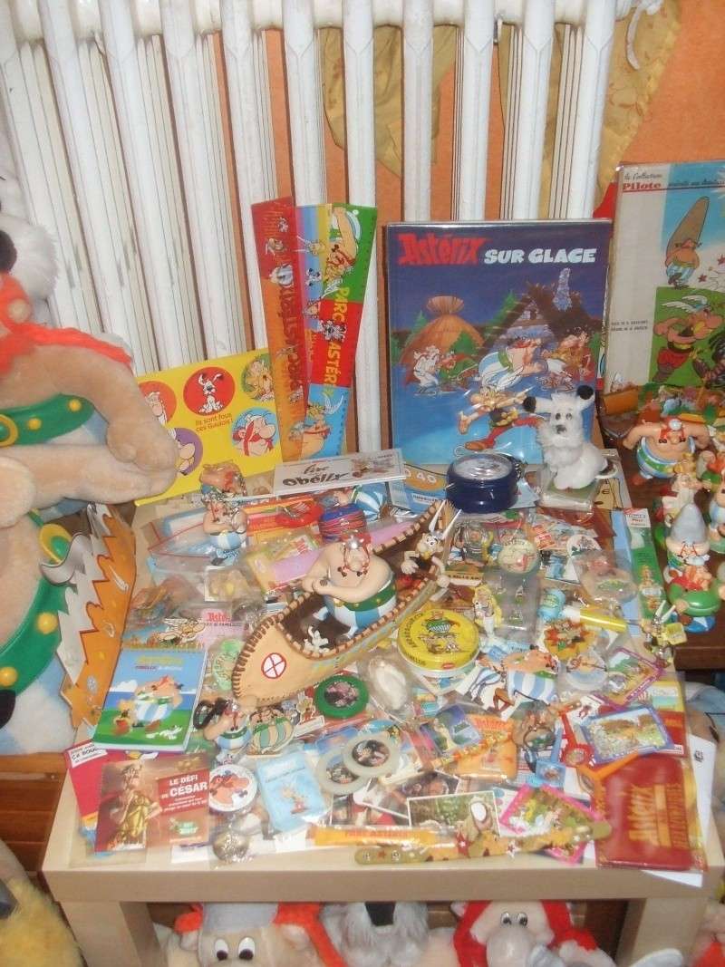 ma collection asterix Photo_18