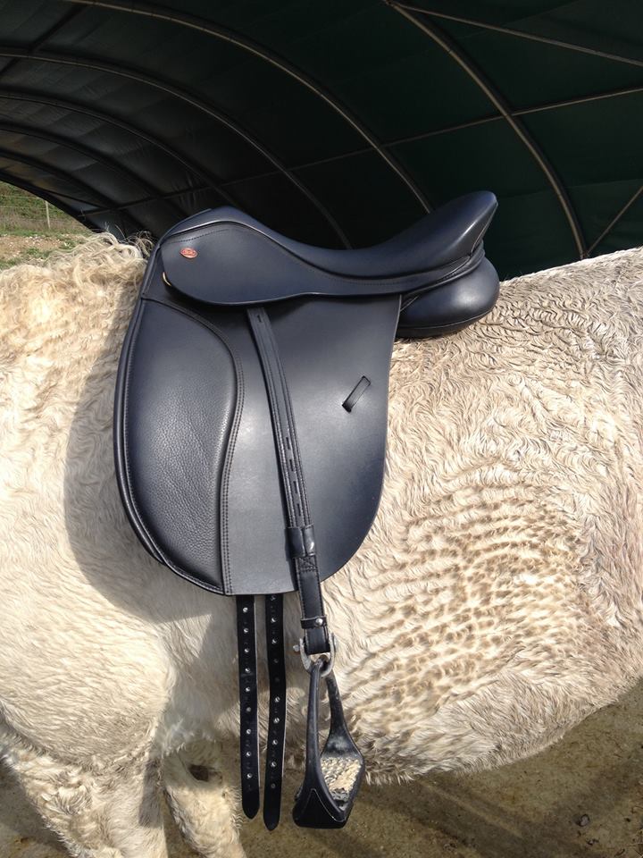 selle Kent & Masters dressage neuve 10367111