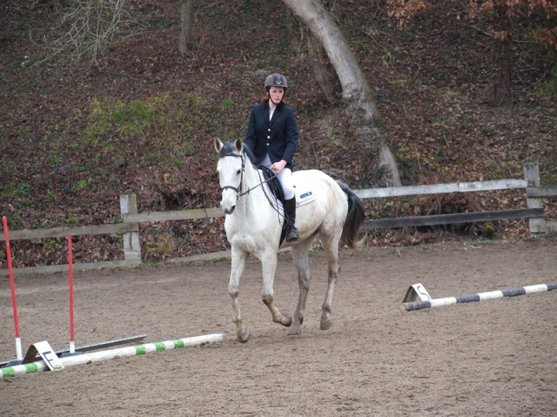 CHEVAL DE SPORT Petit10