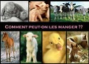 [Jeu] Le végétarisme et les droits des animaux en image Cmt_pe12