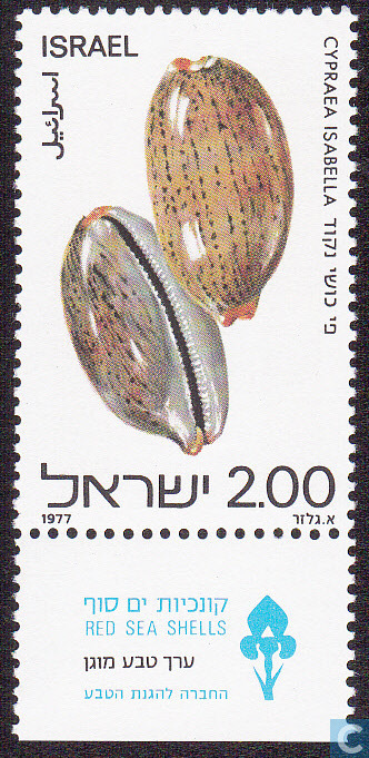 Luria isabella (Linnaeus, 1758) - Page 2 Israel10