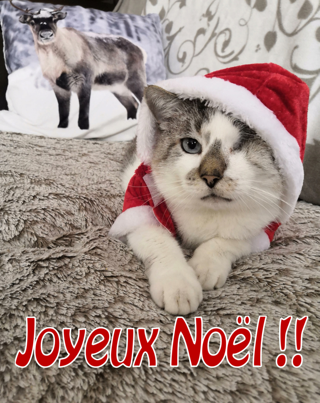 Joyeux Noël !! Aris_011