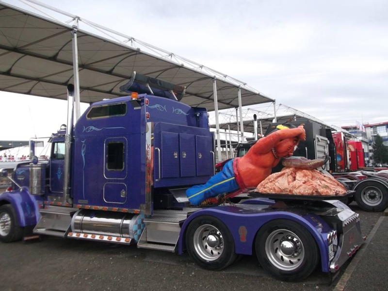 24 Heures Camions Le Mans 2014 24210