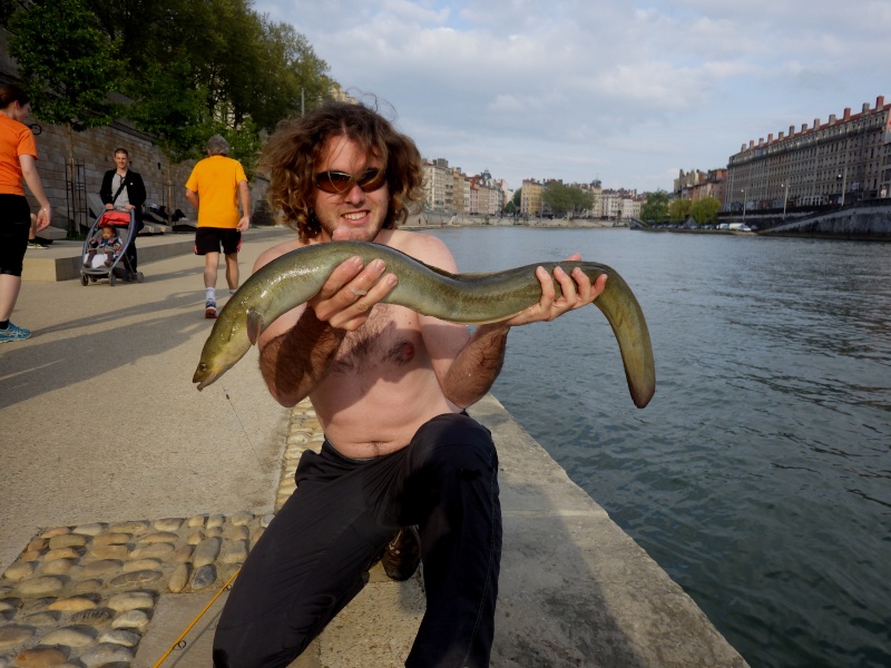 Ma première anguille ! ... au pain ! Rimg2311