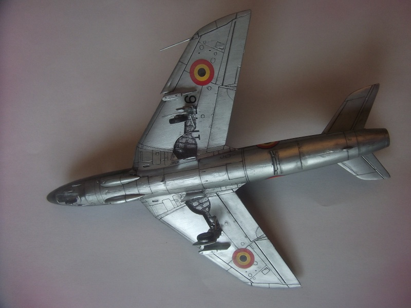 Hawker Hunter F6 (ou F4) Dscf3812