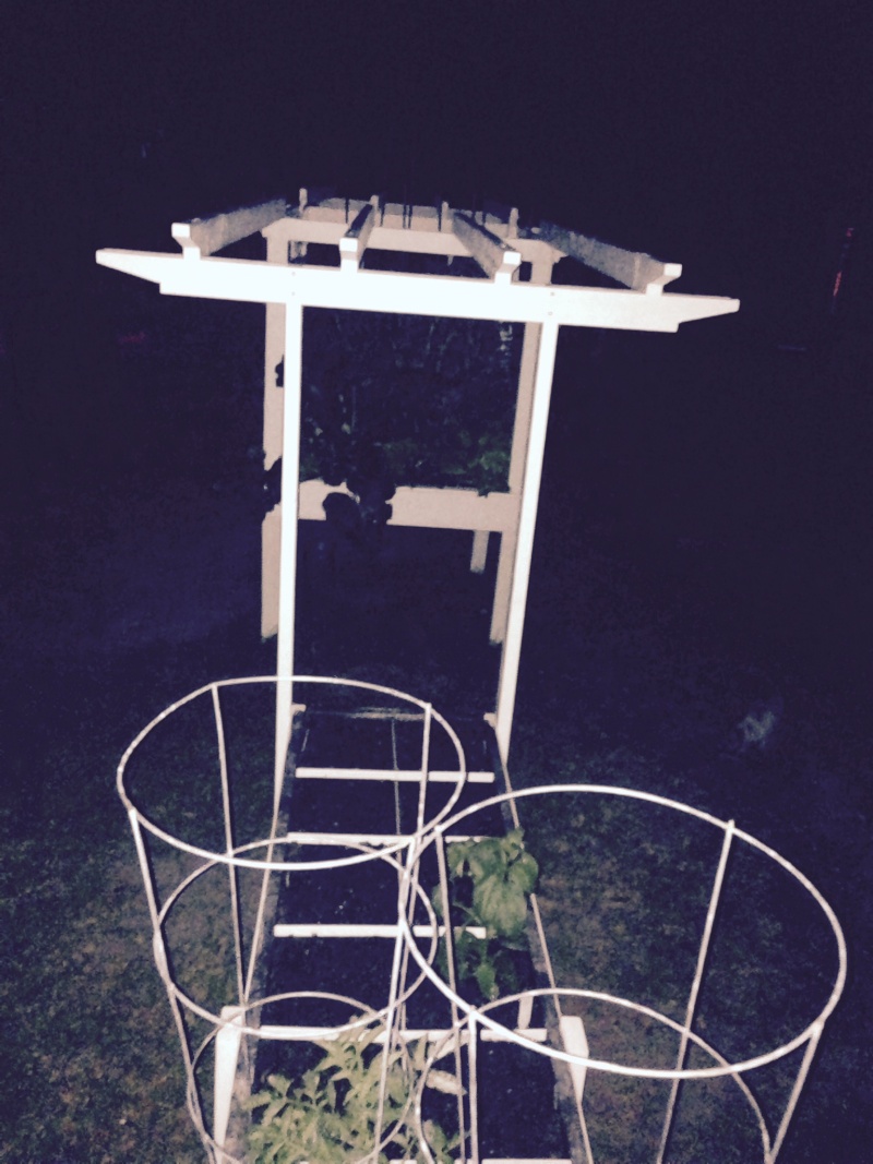 Adventures in Table Top - Page 6 2015-209