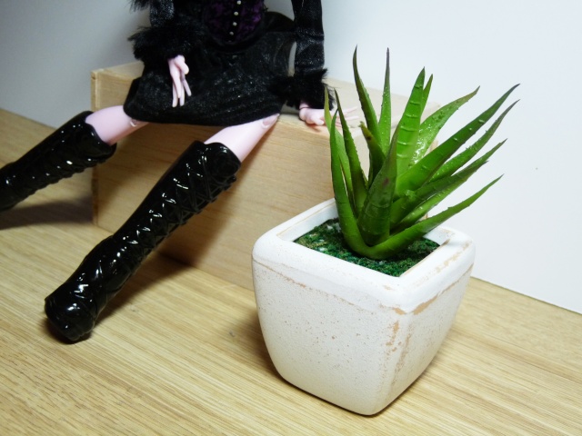 [Monster High] Quelle jolie plante ! P1240916