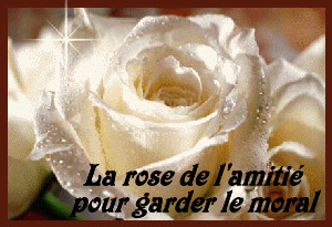 l'incertitude des jours 11020610