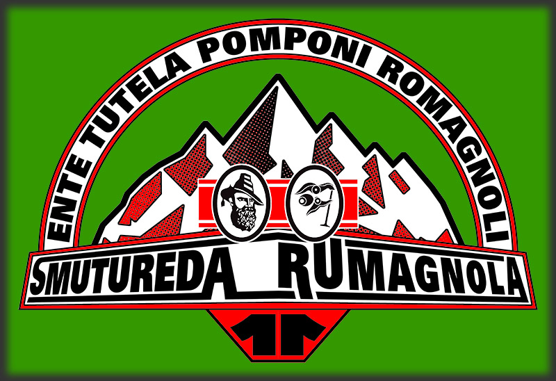 13/14-06-2015 Smutureda Rumagnola XI Sr11lo10