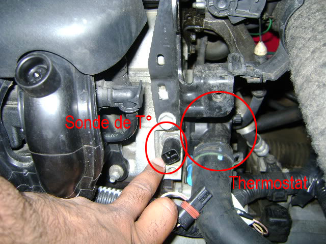 GROS PROBLEME DE REFROIDISSEMENT  Dsc01210