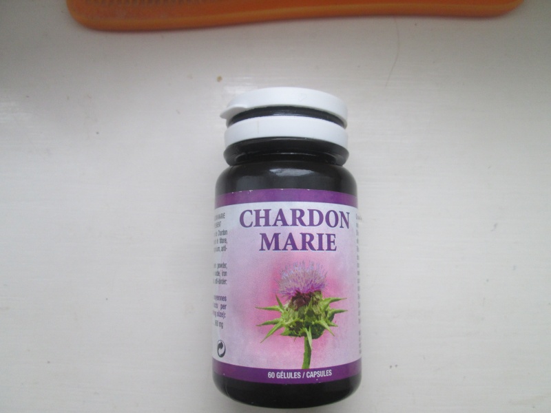 chardons ogm  Chardo11