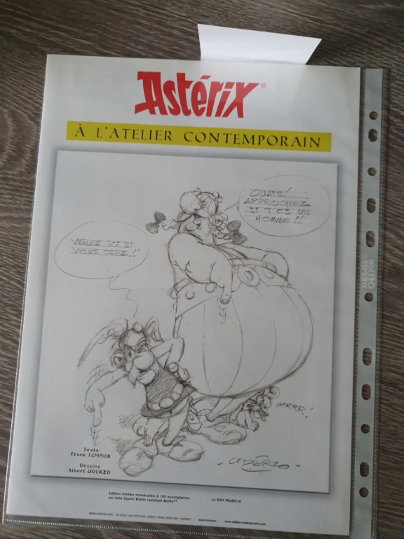 Les nouvelles acquisitions d'Astérix 1988 - Page 18 20191141