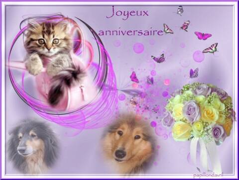 Bon Anniversaire Gigi Bon Anniversaire Gigi