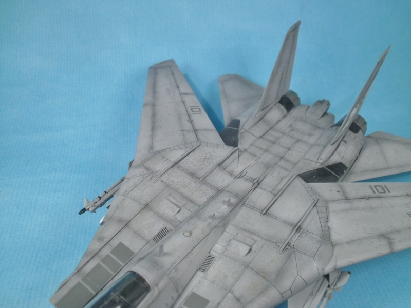 F14D Tomcat 1/72 Hobbyboss P3210013