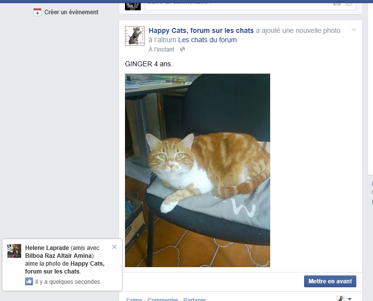 vos photos  de chats sur Facebook - Page 2 Captur12