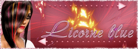 Signature thème gloria Licorn10