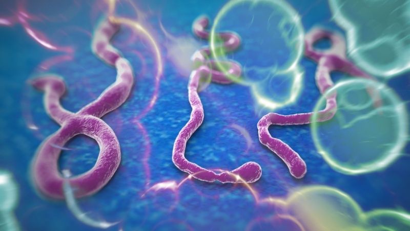 Le virus Ébola peut être vaincu par l'Argent colloïdal ! Sans-t17