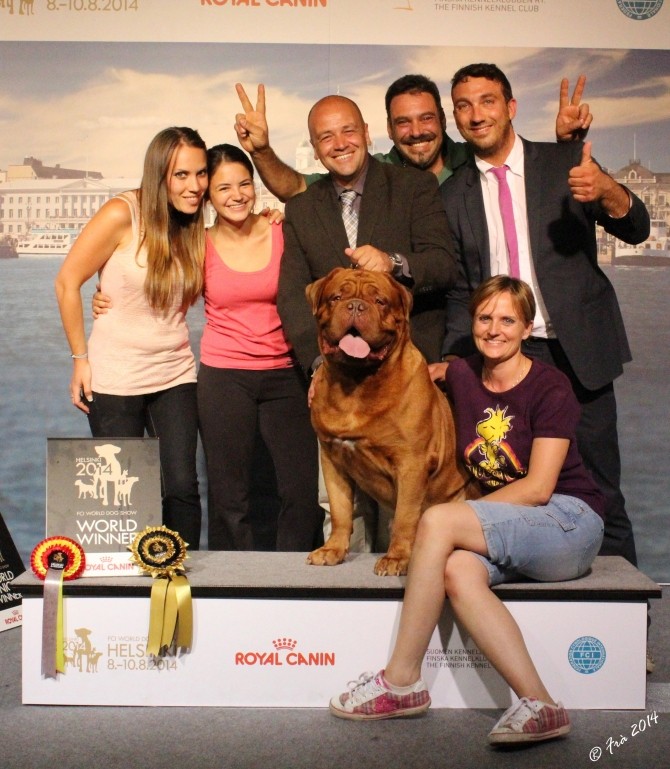 TOP DOG ENCI 2013 - IMK CASSIUS CLAY MDM 670_0_10
