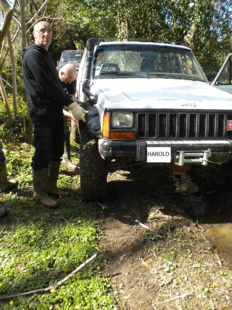 Reco de la sortie de juin 10311