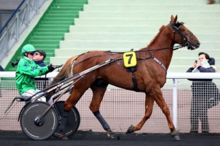 VINCENNES R1 - CONCOURS - Prix HENRI LEVESQUE - SAMEDI 11/04/2015 Aladin11