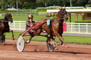 VINCENNES R5 - Quinté - Prix EUKRATE - VENDREDI 10/04/2015 Ucello10