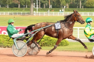 VINCENNES R3 - Quinté - Prix GRATIA - VENDREDI 3/04/2015 Varina10