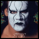 Staff and Roster of World Championship Wrestling Sting10