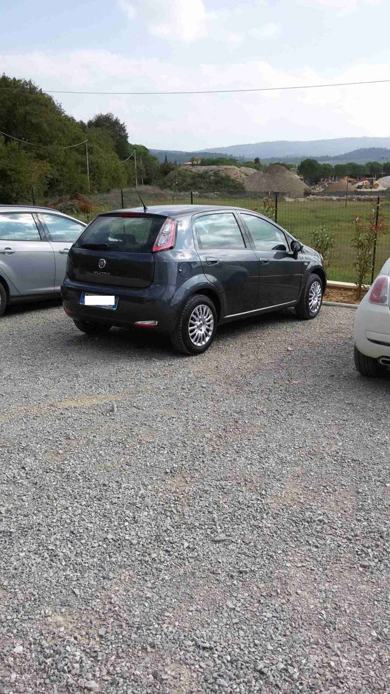 Fiat punto easypower Young  20141011