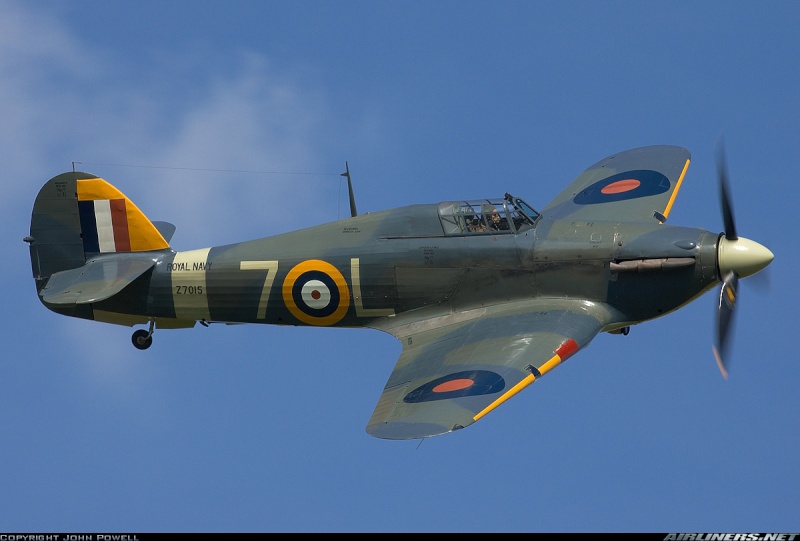 Hawker Sea Hurricane  12575910