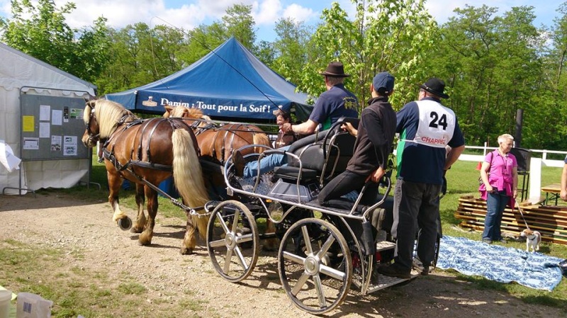 10 ANS ASSOCIATION CHEVAL ESPOIR - SELESTAT F10