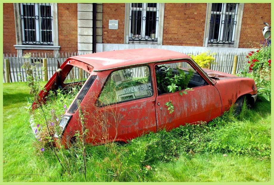 Les autos abandonnées et la nature qui reprend ses droits .... - Page 2 Imgp2210