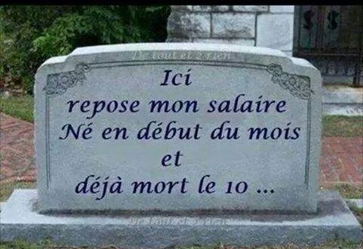 Humour - Page 39 11029510