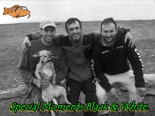 Special Moments Black & White. Img-2014