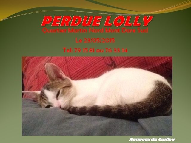 PERDUE LOLLY chaton femelle de 4 mois blanche et tigrée quartier Martin Nord, Mont Dore Sud le 23/05/2015 20150567