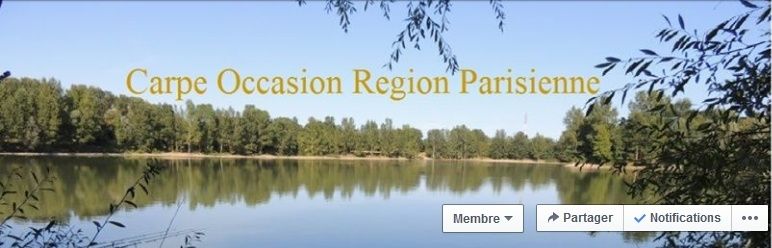 Page Facebook " Carpe Occasion Region Parisienne " Page_c11