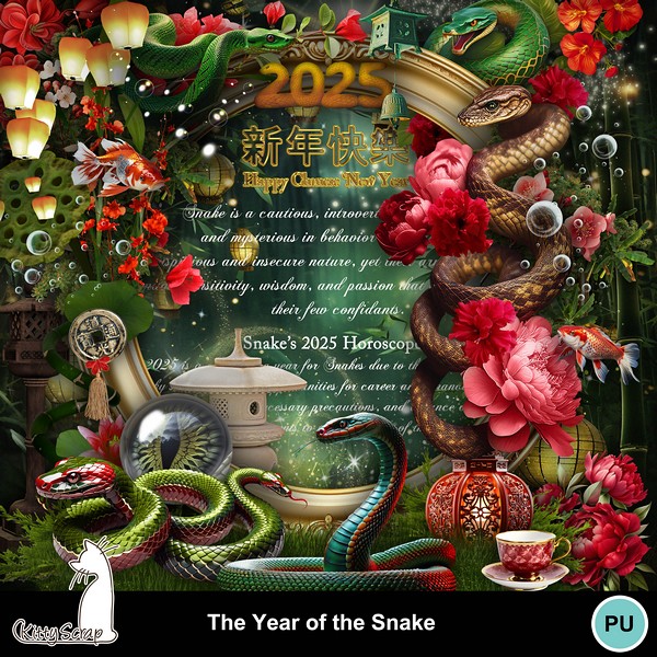 THE YEAR OF THE SNAKE : monday january 20th / mardi 20 janvier Folder51