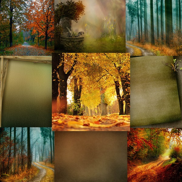 AUTUMN ARRIVES IN ENCHANTED LAND - jeudi 30 septembre / thusrday september 30th Kitty731