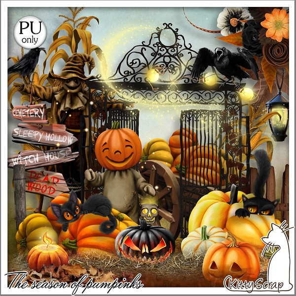 THE SEASON OF PUMPKINS - lundi 25 octobre / monday october 25th Kitty760