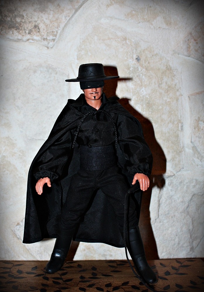 progetto...ZORRO Img_8210