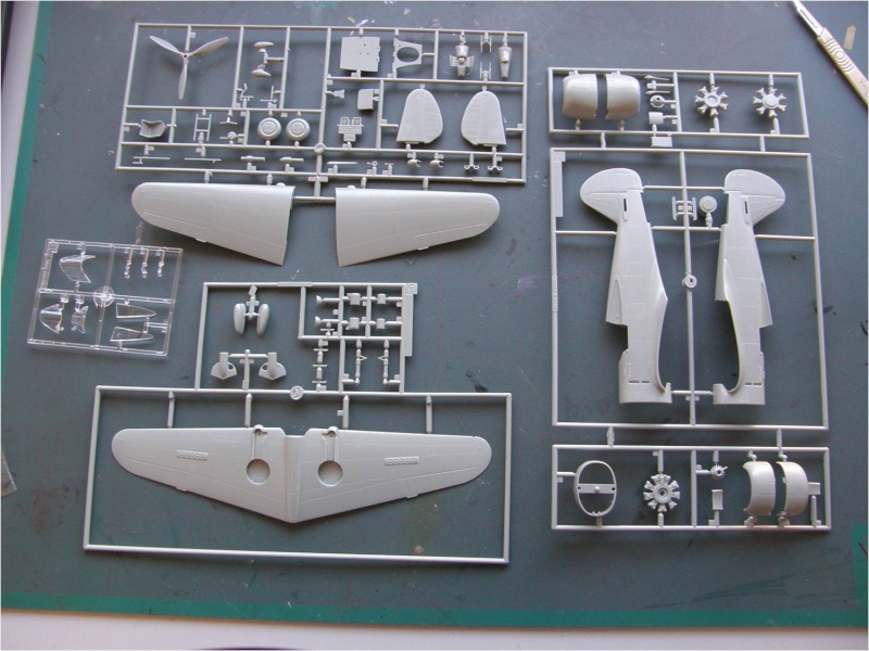 Curtiss H75A-4 -   Musthave 1 /48   - GC II/5 Lafayette  - en maintenance  Presen12